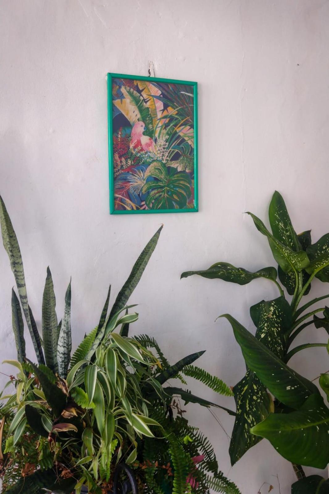 Hostel Residence Girassol Belem  Bagian luar foto